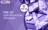 PMI SP Certification Training (1).jpg