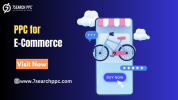 PPC for E-Commerce (6).png