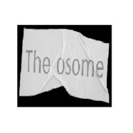 theosome