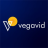 vegavidtech
